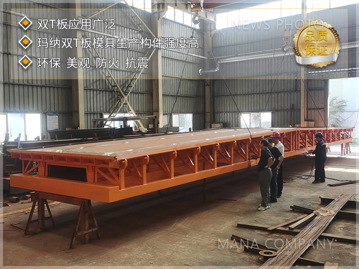 玛纳双T板模具03.jpg